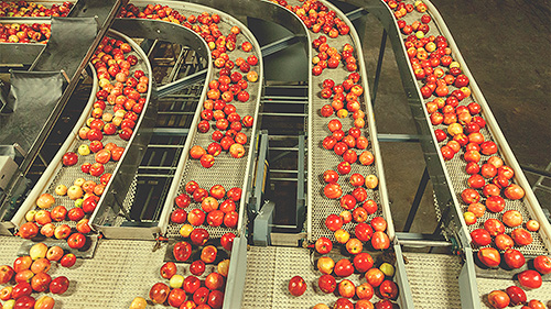 Produce in factory