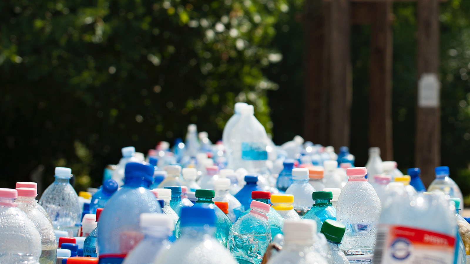 botellas de plástico